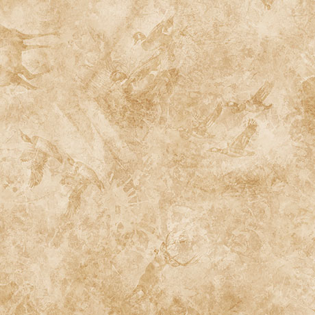 FOREST, FIELD AND STREAM 